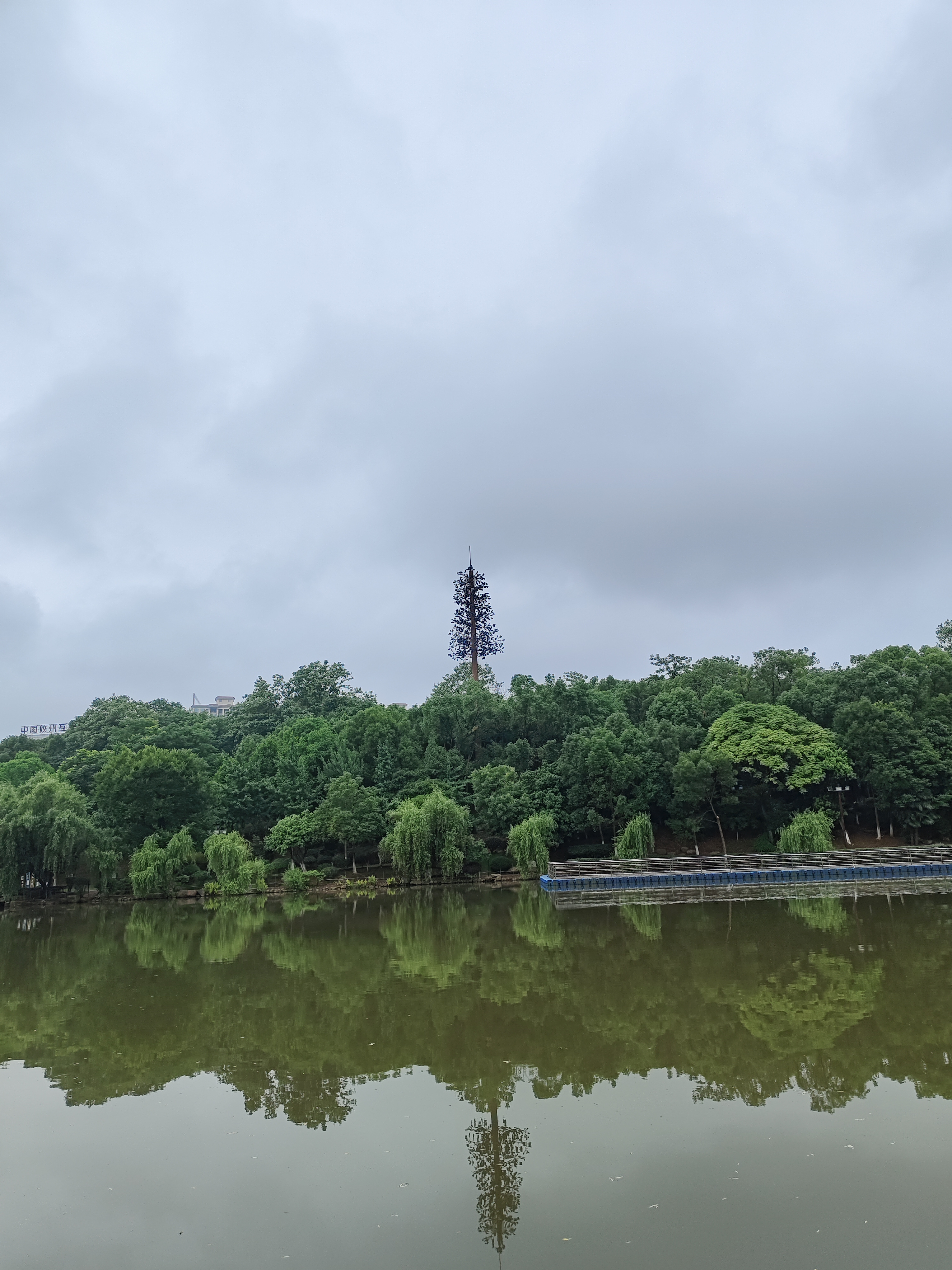 第三个目的,说了你得有钱赚,要记住你说的话图片冷水滩区 潇湘公园