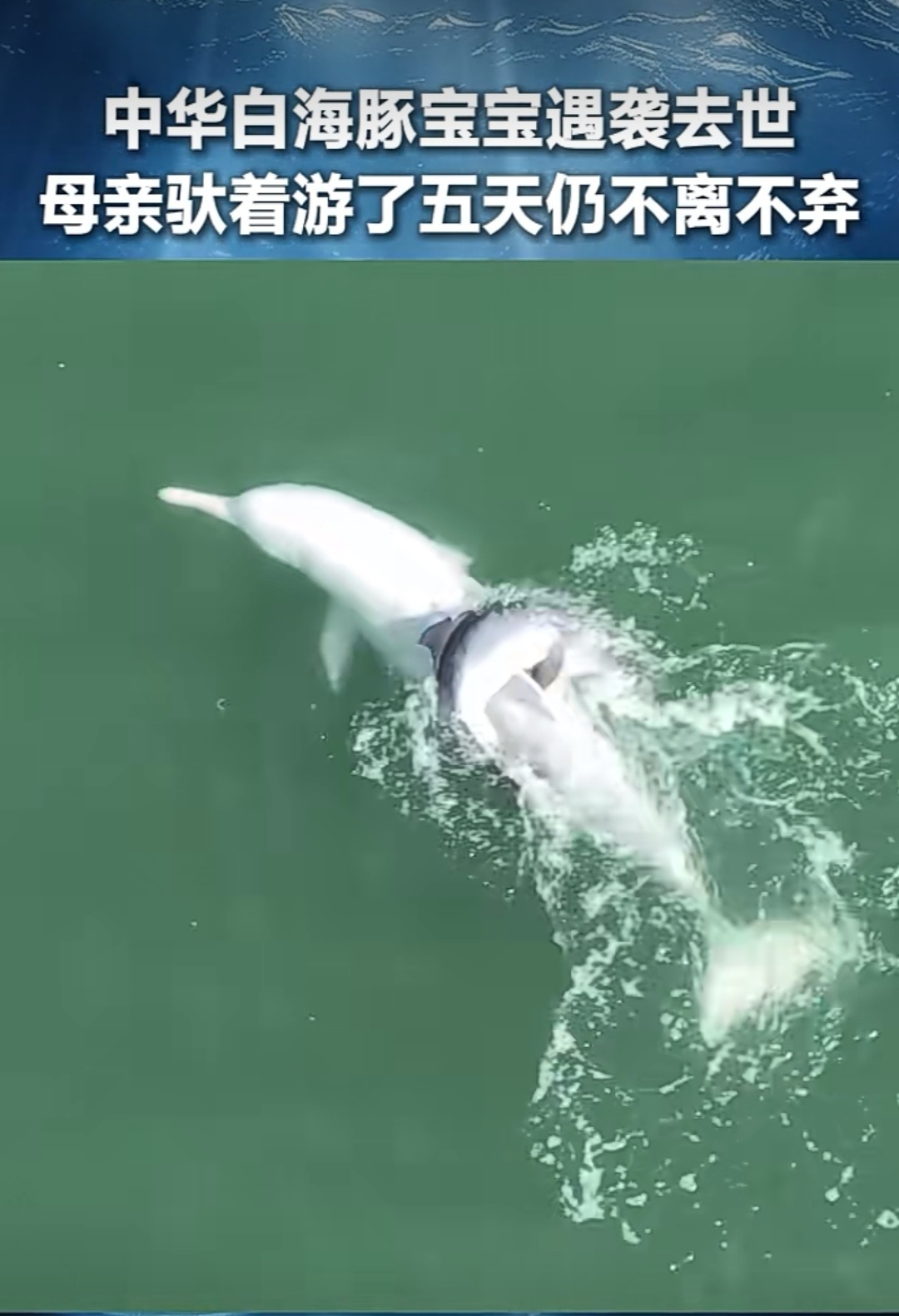[流泪]