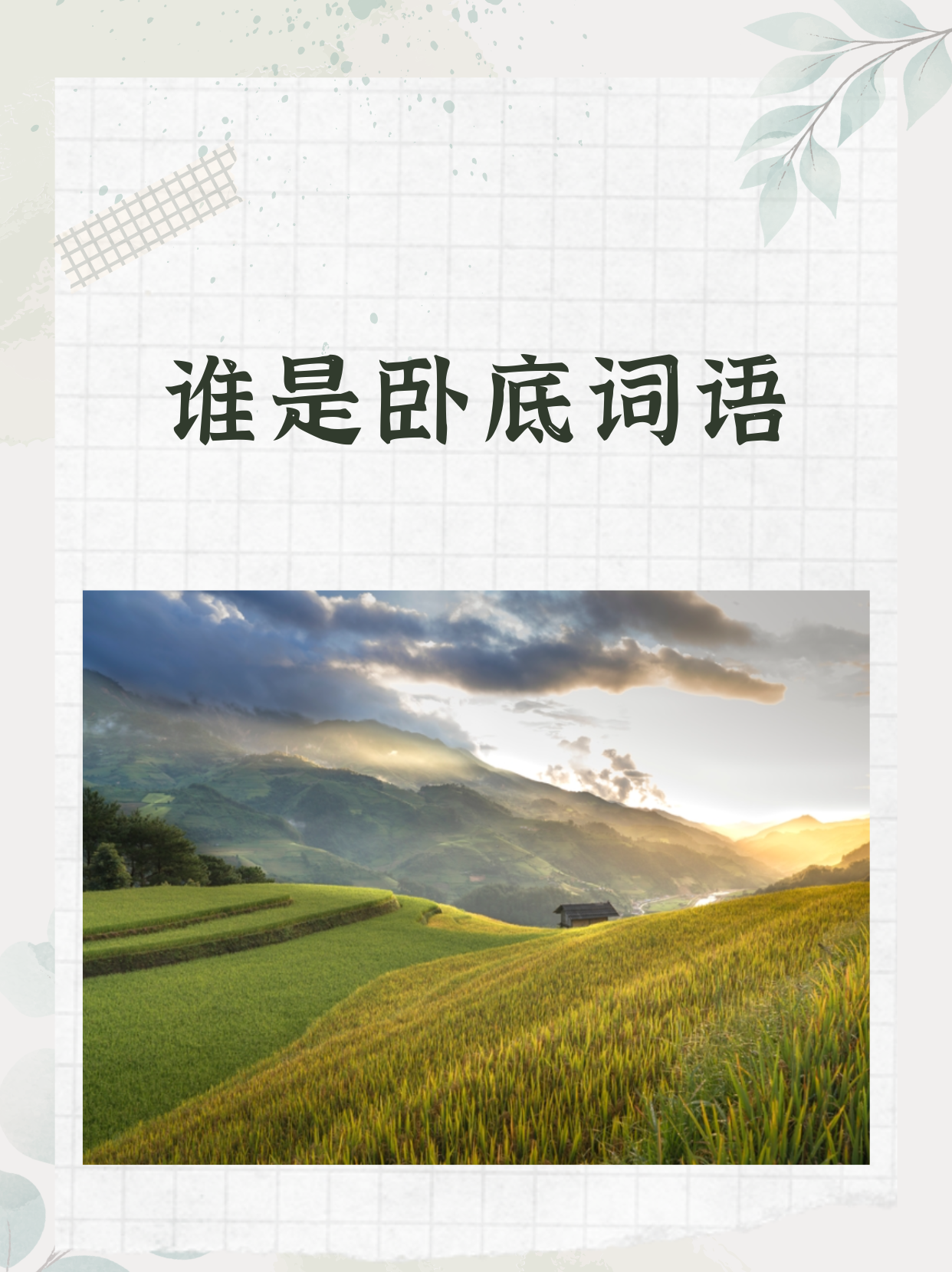 卧底用什么词形容(卧底用什么词形容好听)