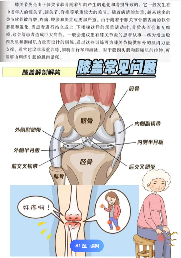 膝盖各个部位名称图解图片