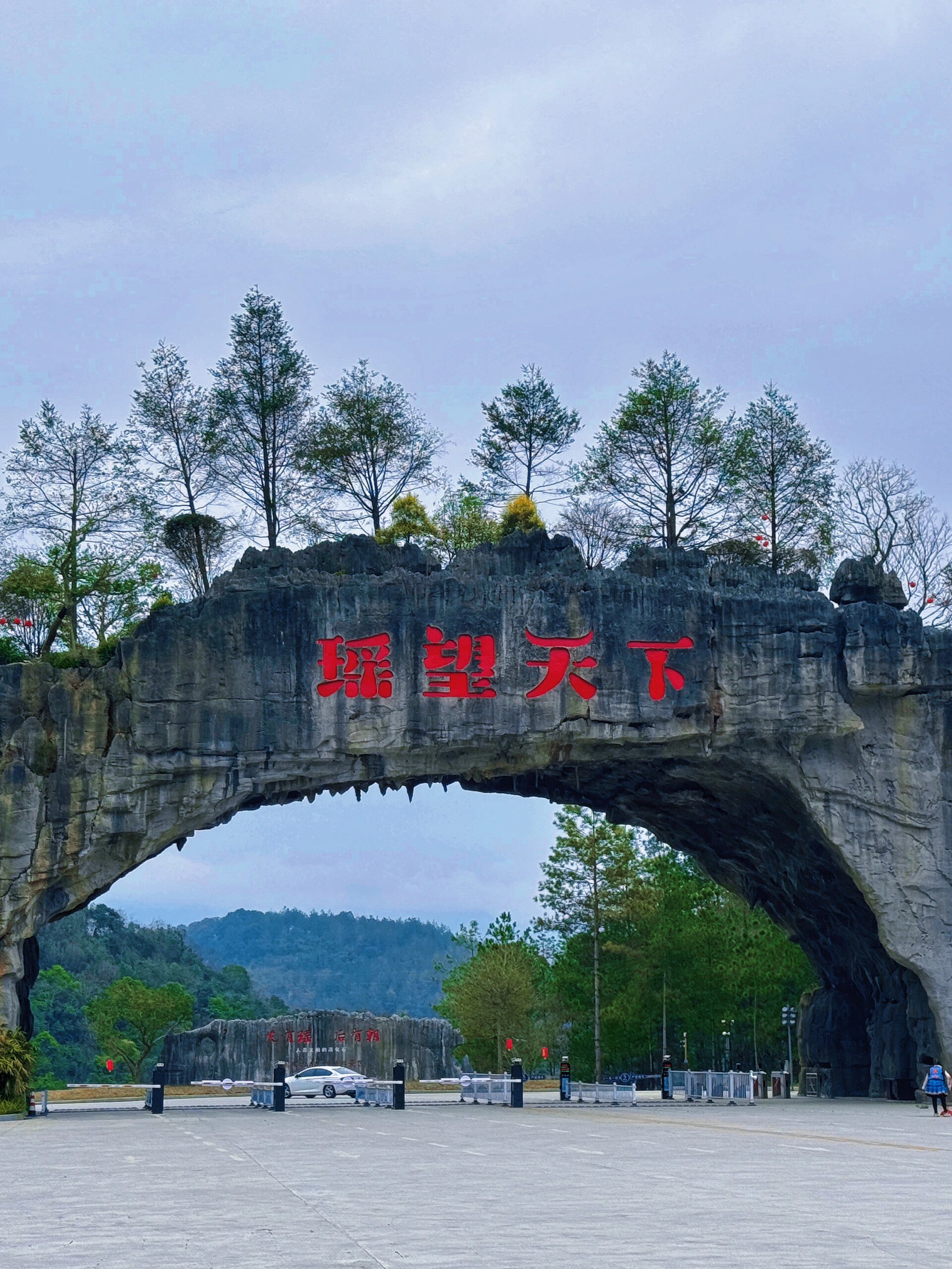 广西南丹杨再勇图片