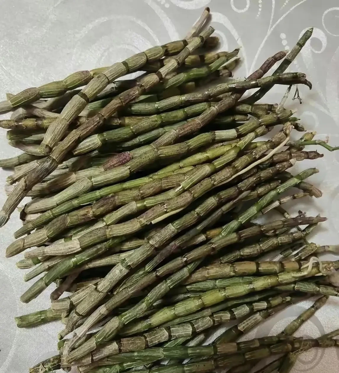 给我带回来这个东西说给我补身子,我第一次见这植物,一节节的像竹子