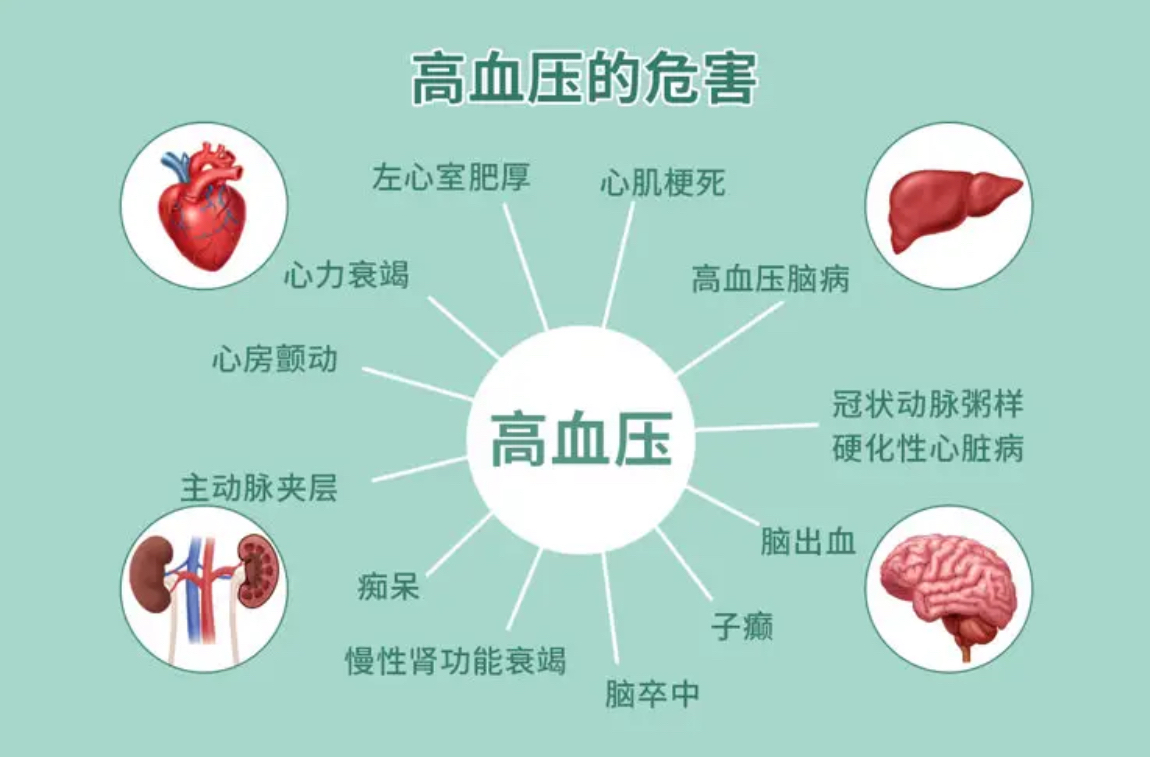 血压高要注意什么图片