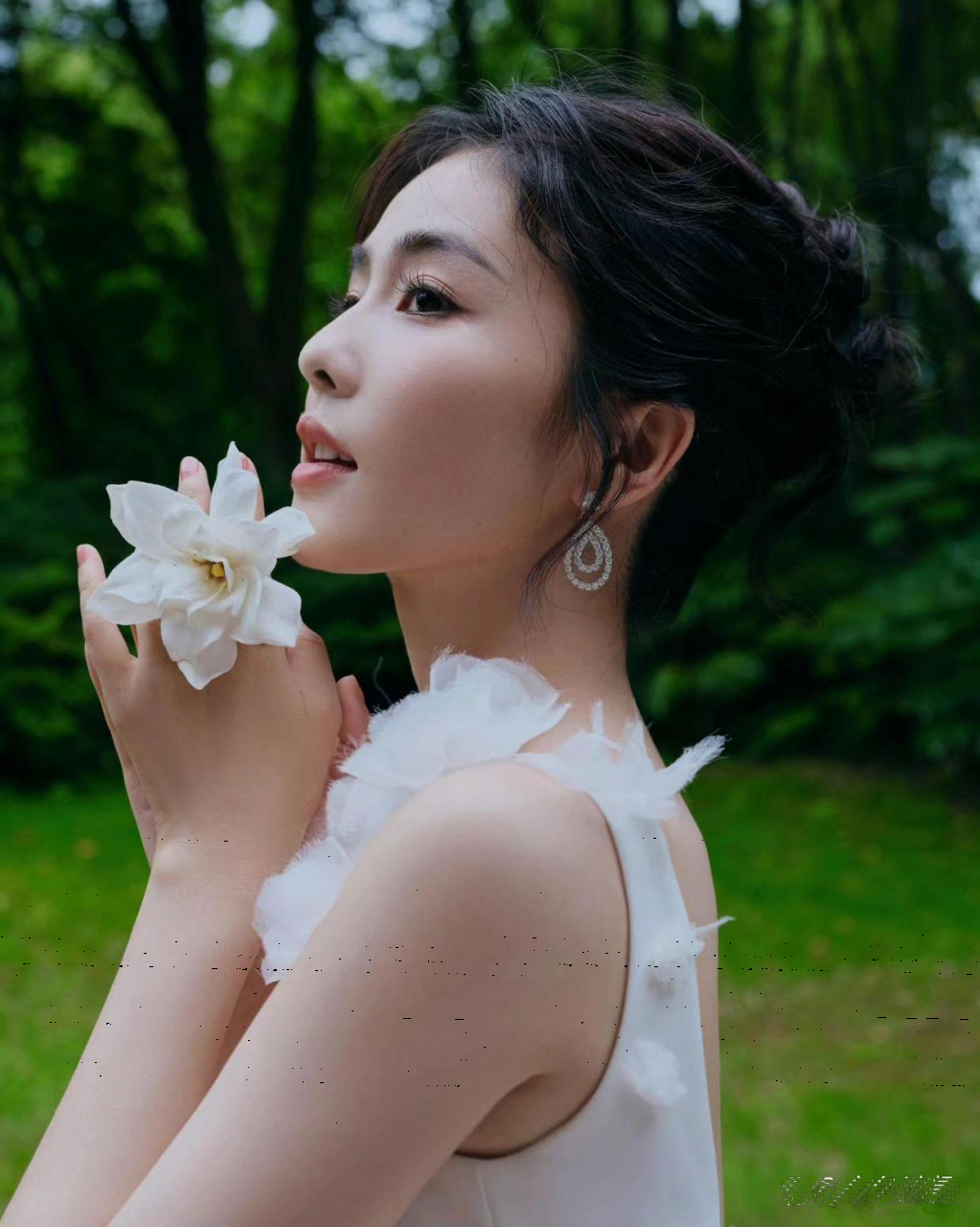 对白鹿这样的描述非常唯美,给大家整理的,罕见超高清照片,真是大爱了