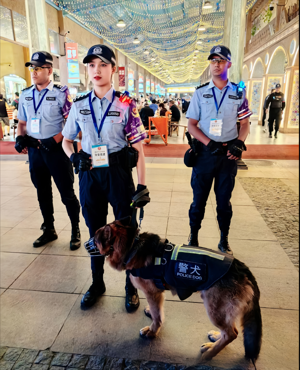 女警英姿图片