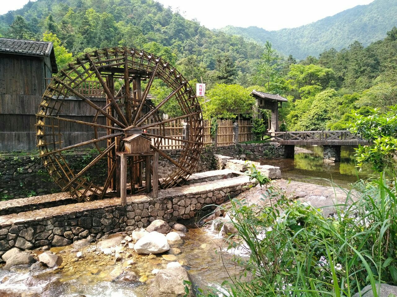 探秘广西隐藏的绿色瑰宝——贺州姑婆山