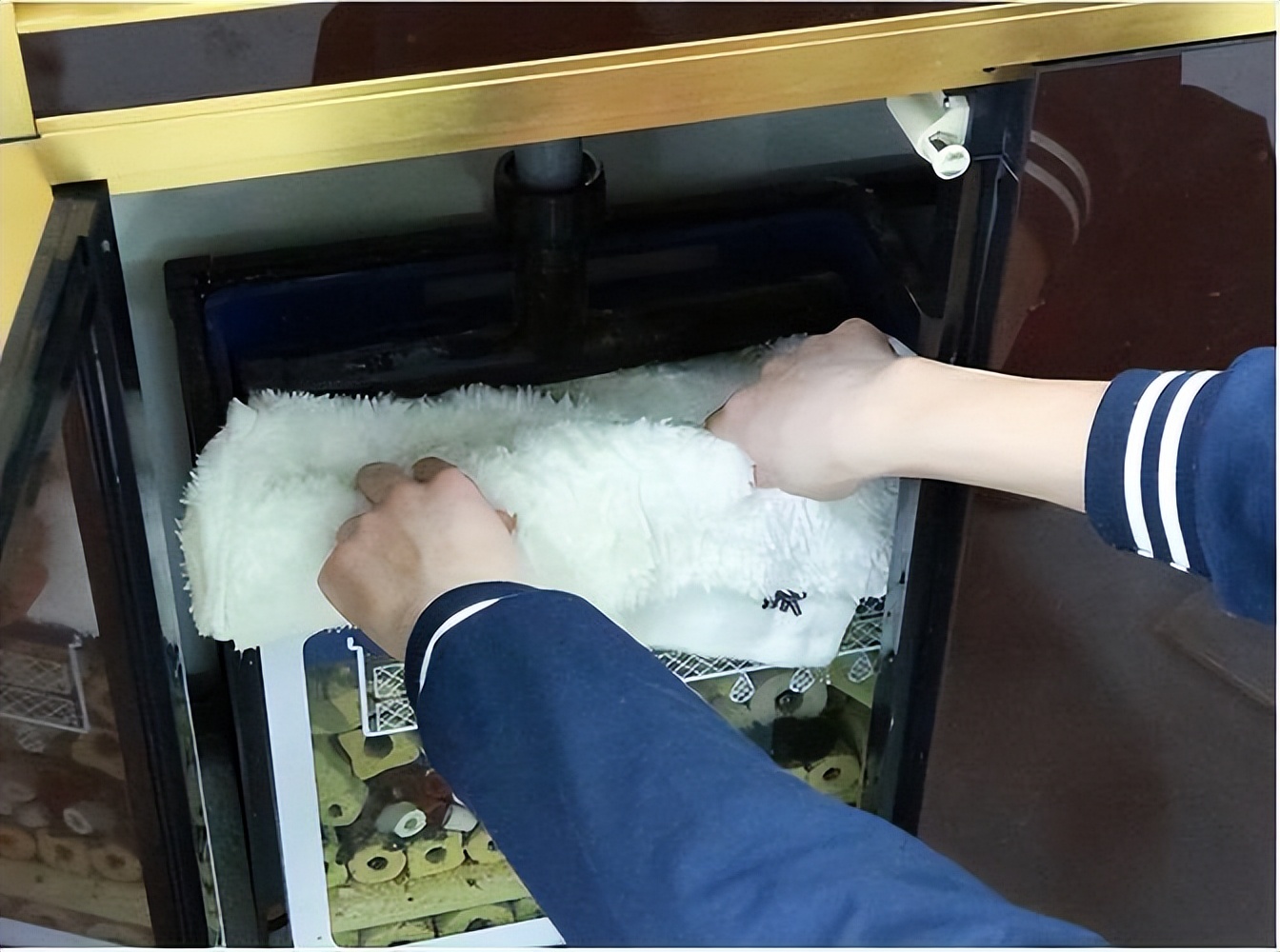 鱼缸过滤棉天天都是脏的,到底该怎么处理?