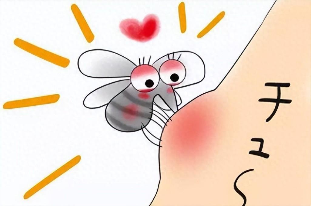 为啥开灯听不见蚊子叫,一关灯蚊子就来?教你一招,安心睡到天亮