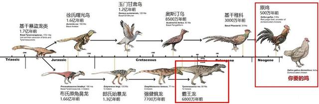 回顾 为什么母鸡不用受精却能天天下蛋?人类利用了鸡身上的bug