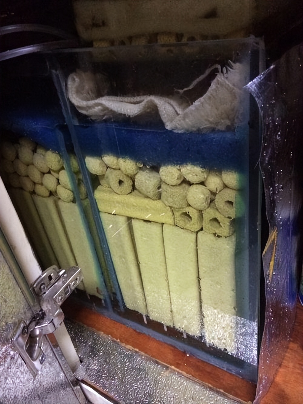 鱼缸过滤棉天天都是脏的,到底该怎么处理?