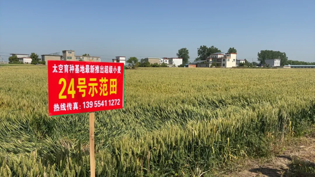 淮南谢家集:看见我们,了解我们