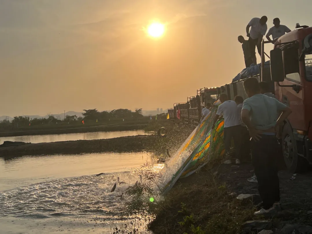 淮南谢家集:看见我们,了解我们