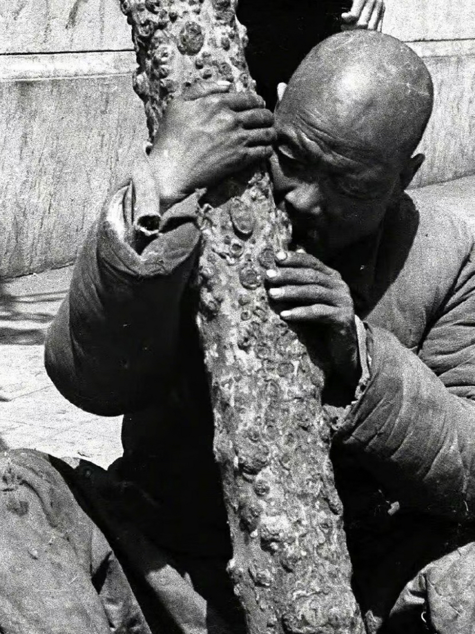 两名美国记者福尔曼和白修德用相机记录下了当时的惨况.