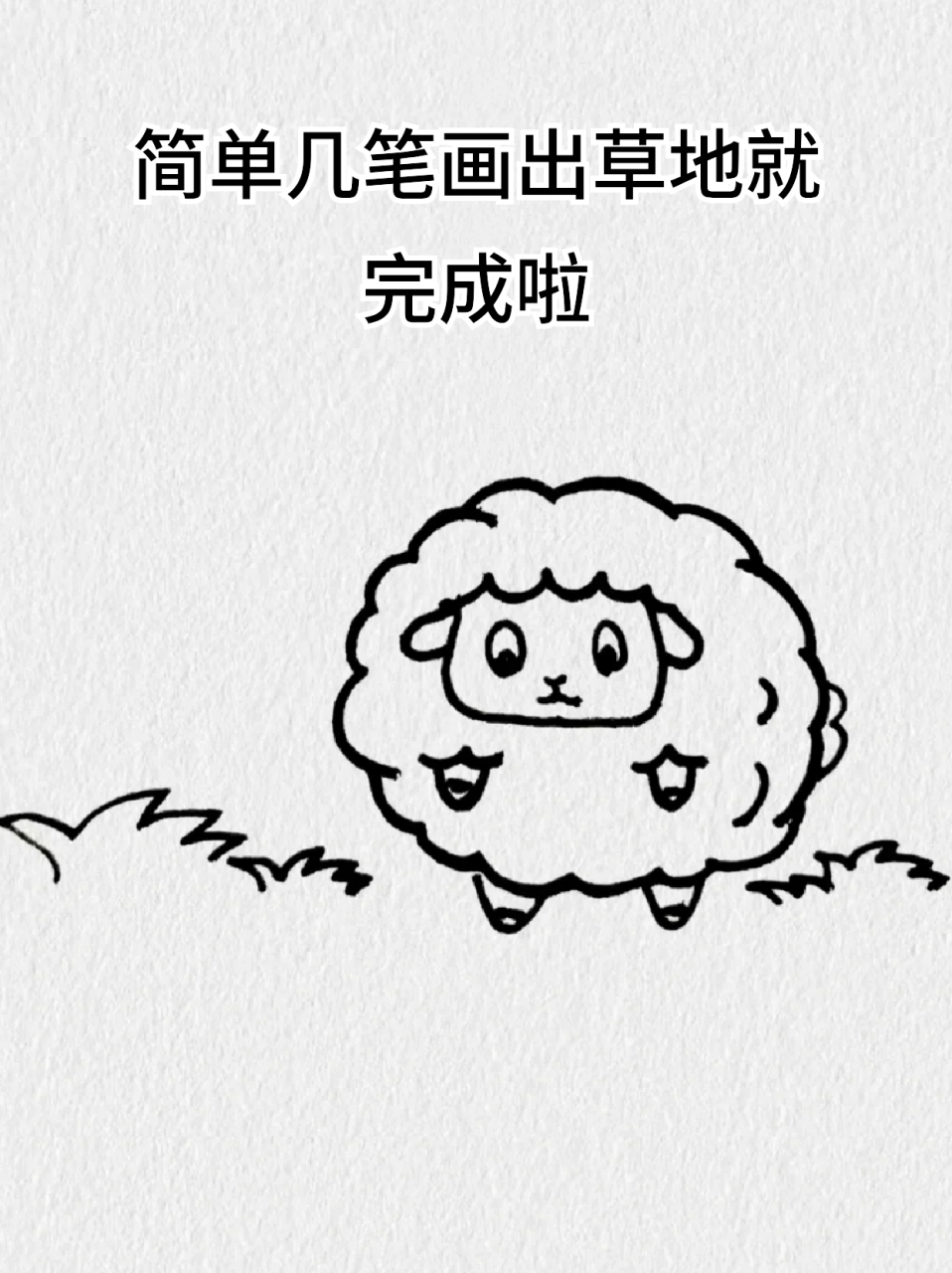 绵羊的简笔画 82假期去乡下,在老家看到了绵羊,真是很乖巧温顺,94