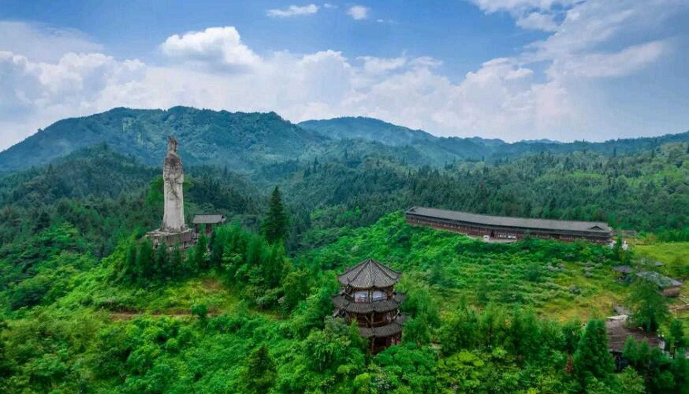 这里丰富的动植物资源,是邛崃生物多样性的宝库!