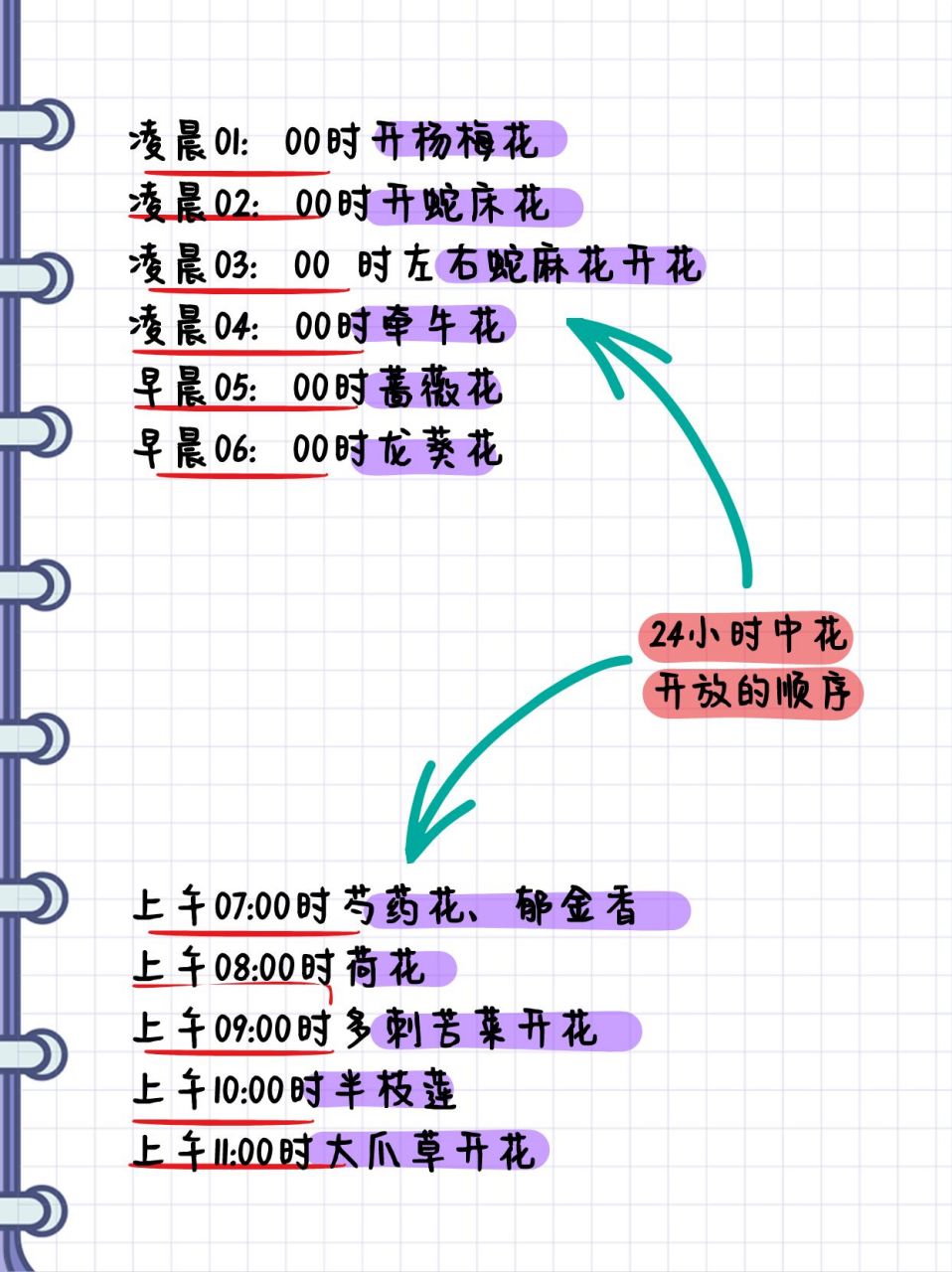 12小时花开时间表图片