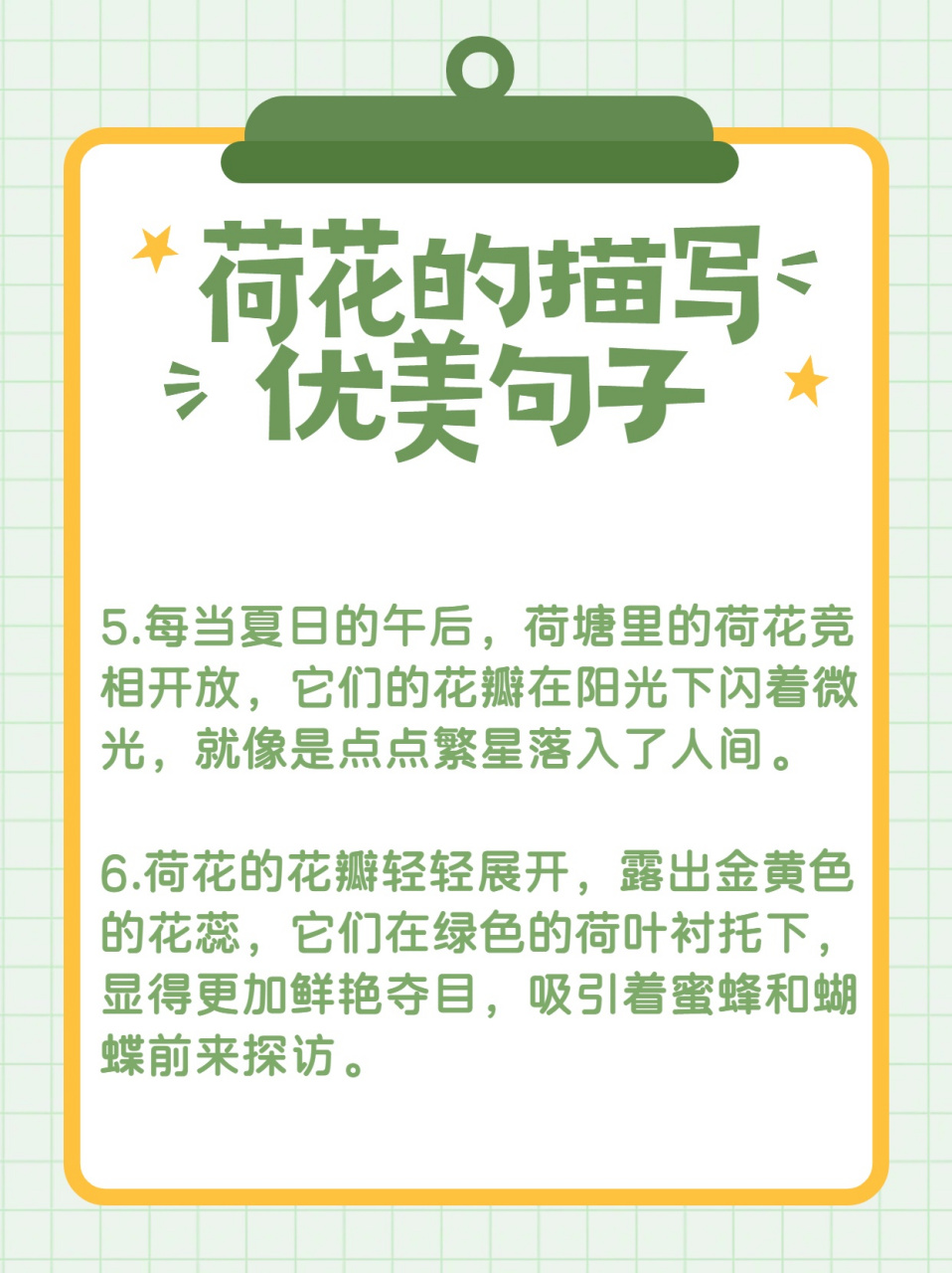 如此优美的荷花描写句子快收藏!