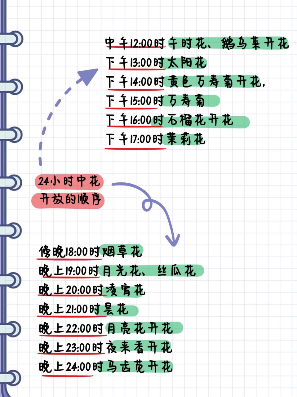 12小时花开时间表图片