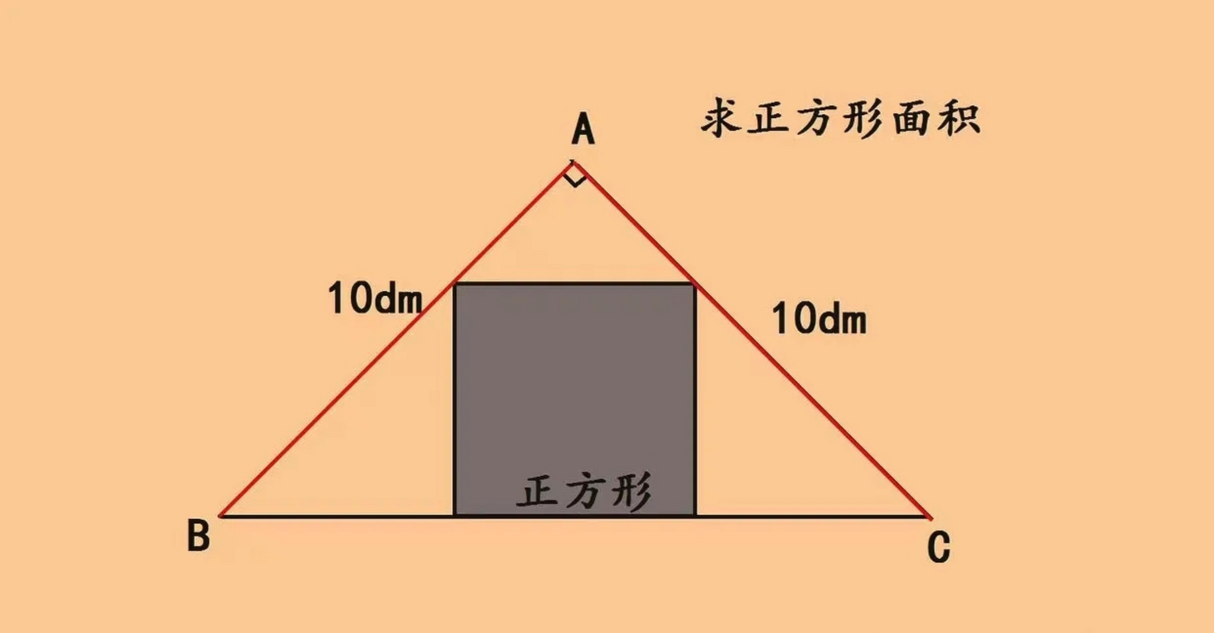 直角三角形形态图片