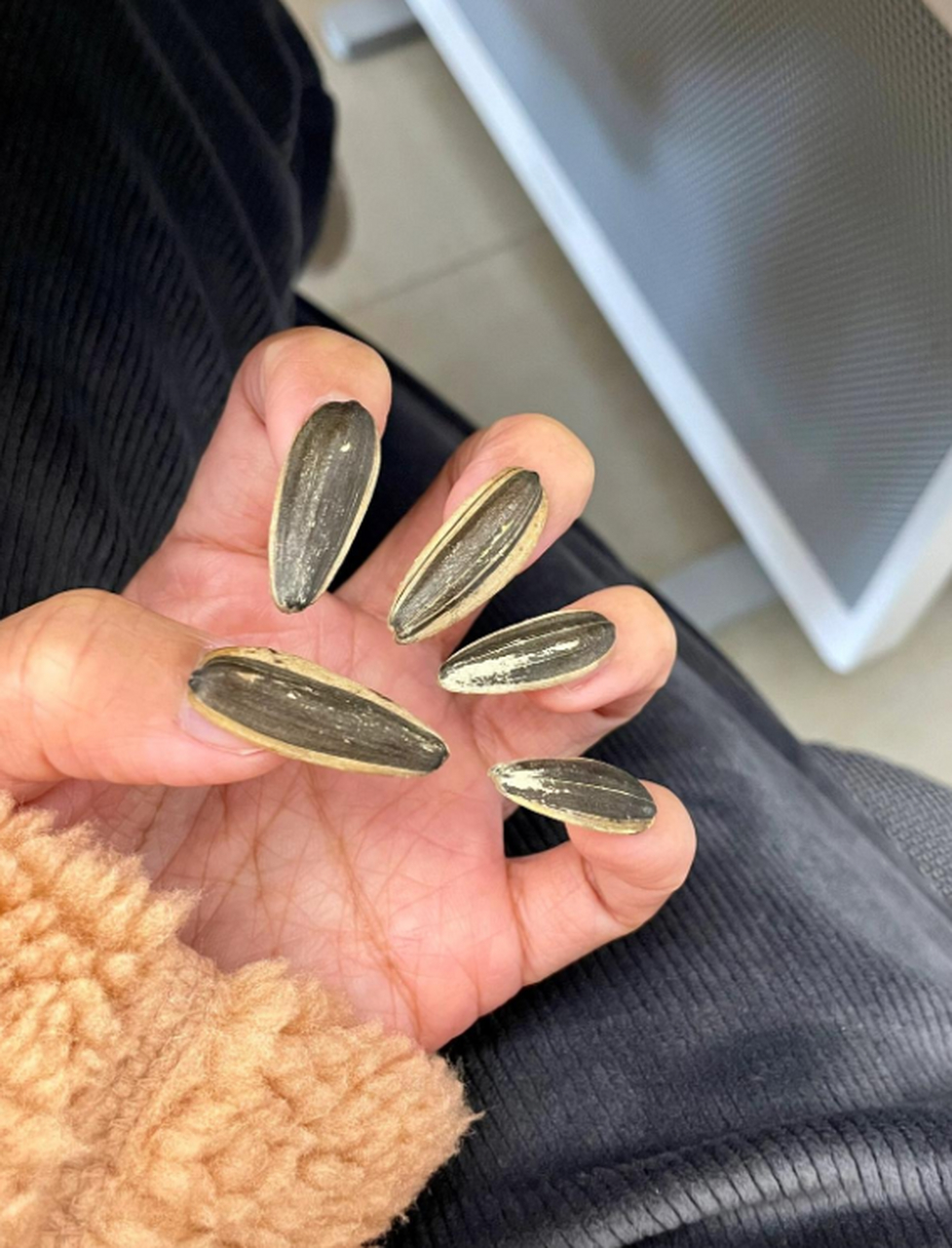 吃完的坚果壳千万别扔,因为它们可以这样被利用起来!