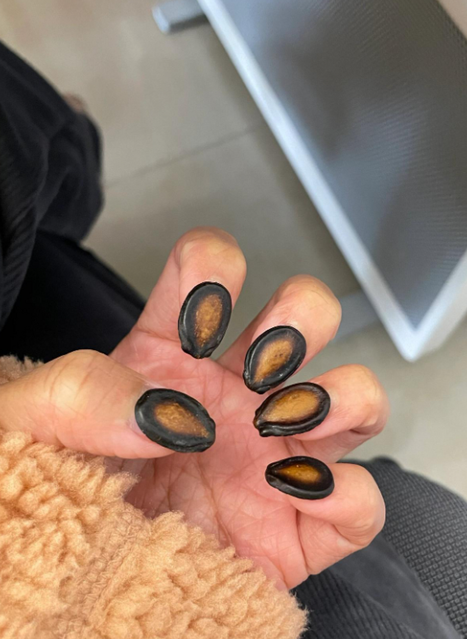 吃完的坚果壳千万别扔,因为它们可以这样被利用起来!