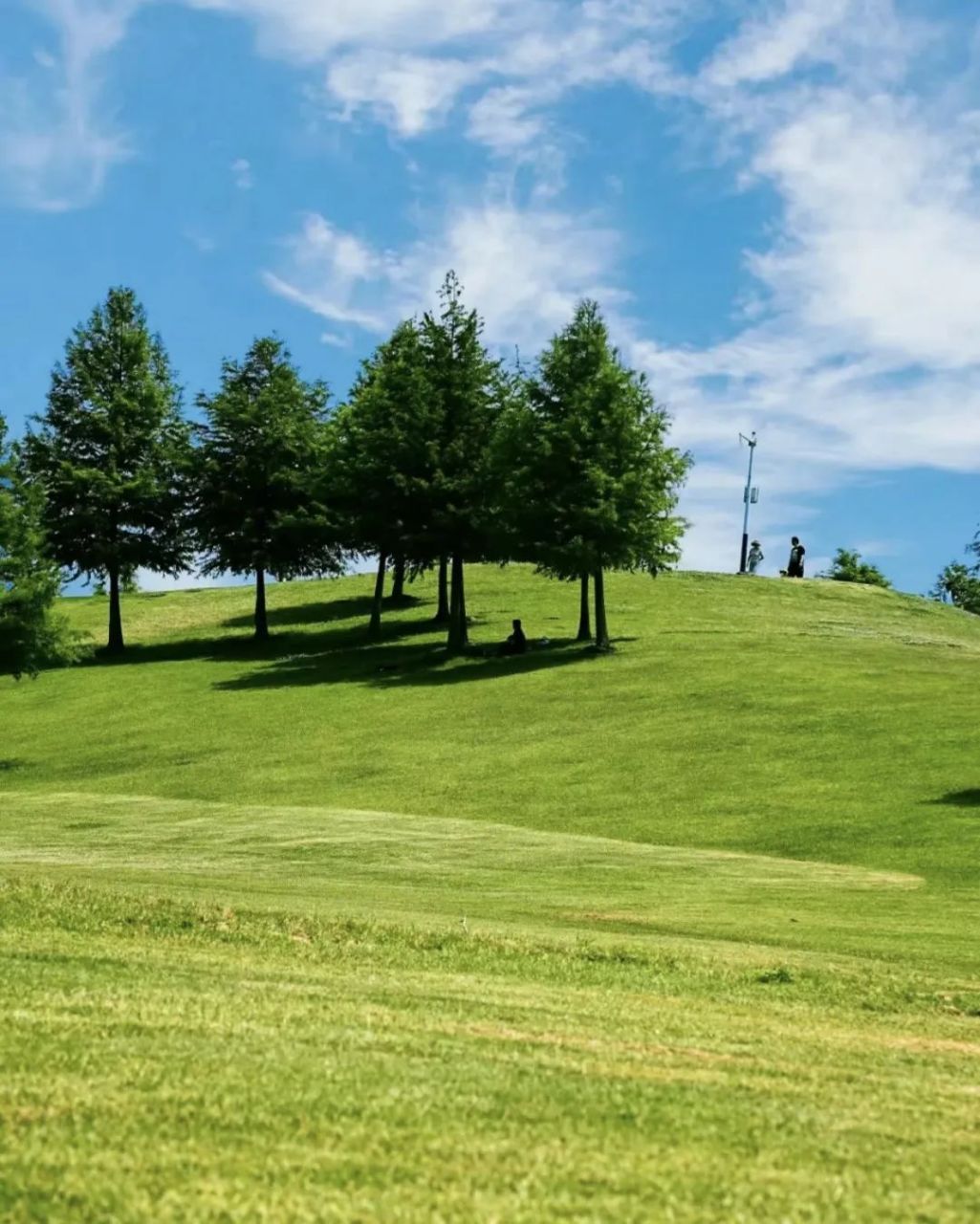 合肥同城交流组#  合肥岸上草原,满足你我对夏季出游的所有想象
