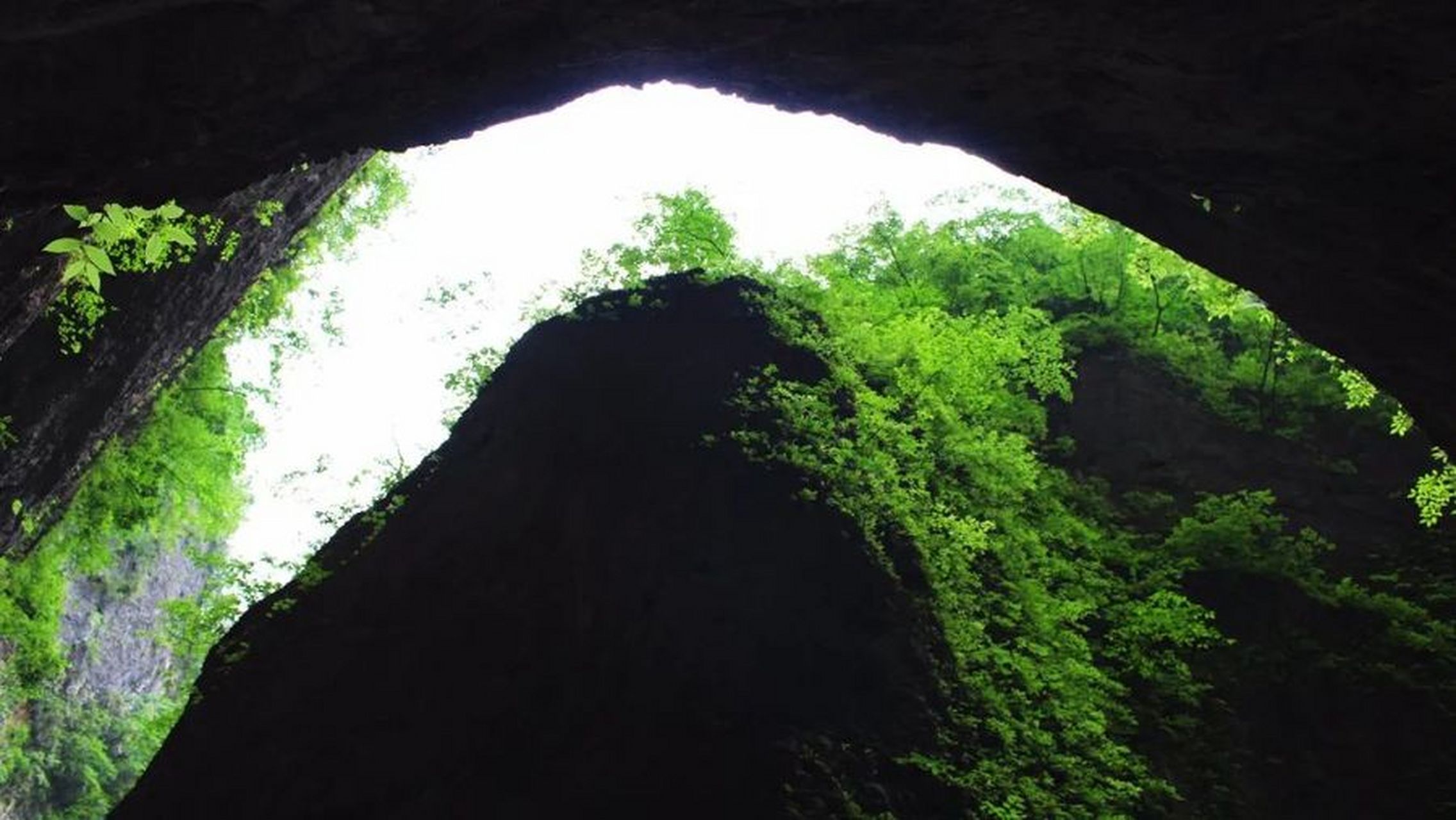 陕西金丝大峡谷风景区图片