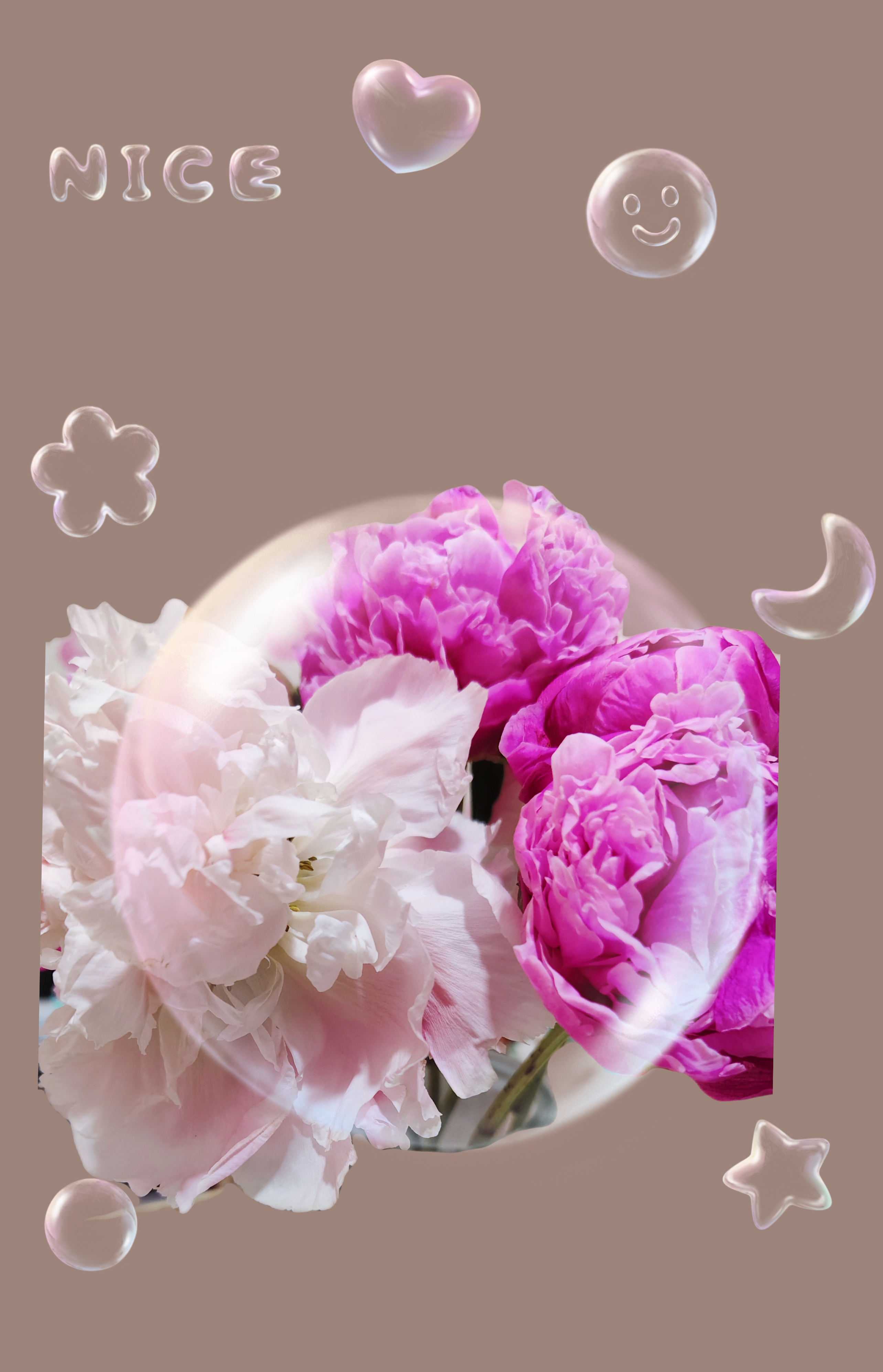 芍药竖屏