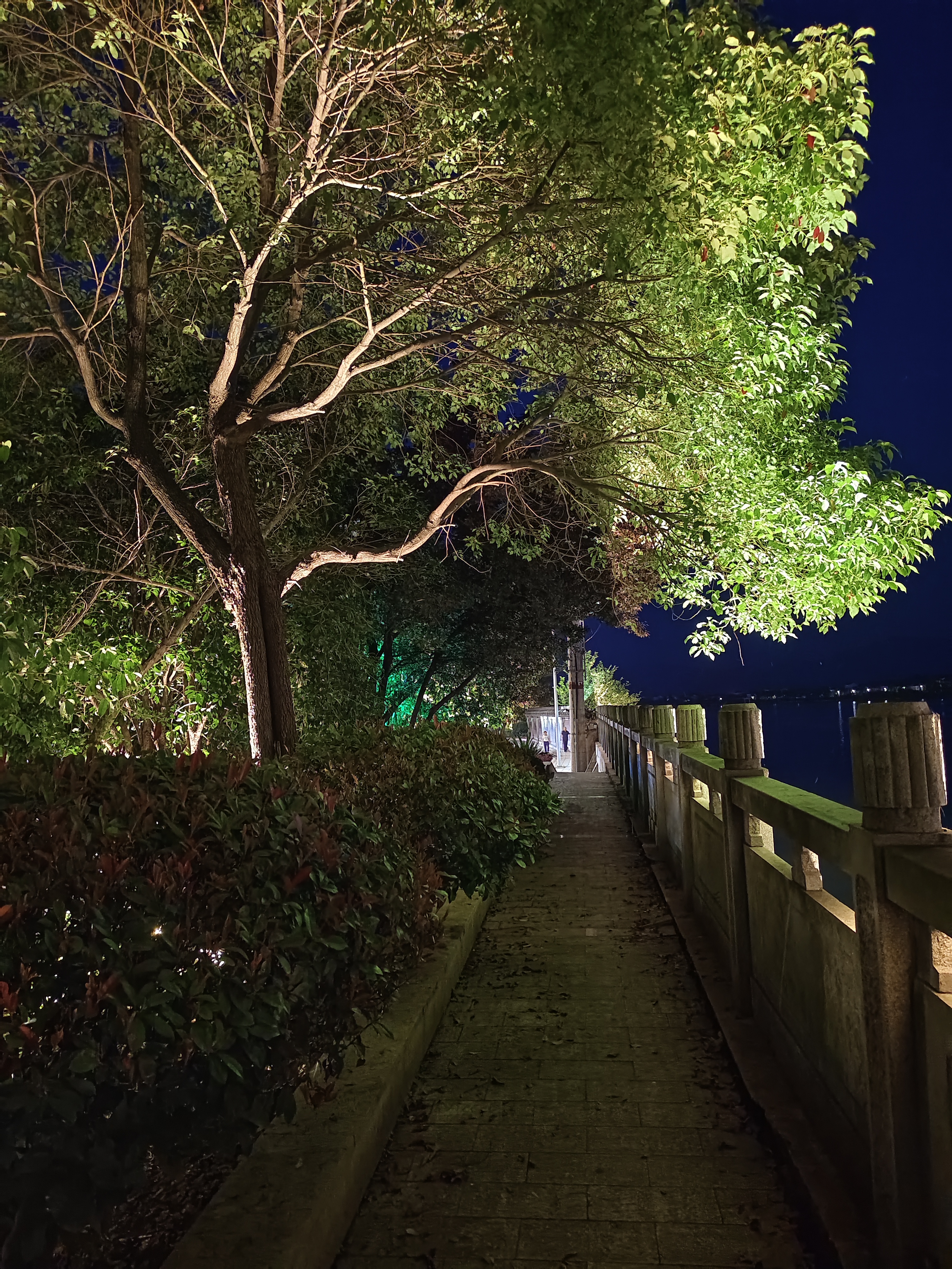 善良里如果没有锋芒,就和软弱无异!