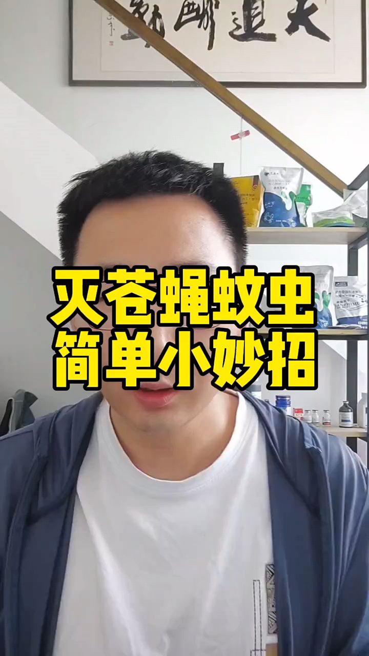 灭苍蝇,灭蚊虫,简单小妙招