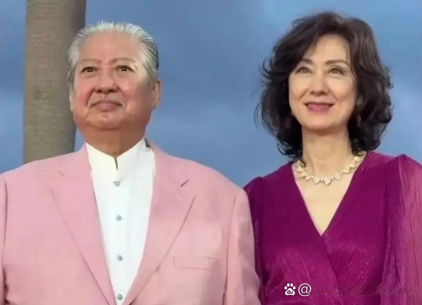 洪金宝妻子是顶级美女