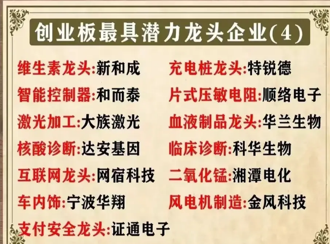 创业板最好的龙头股(创业板最好的龙头股排名)