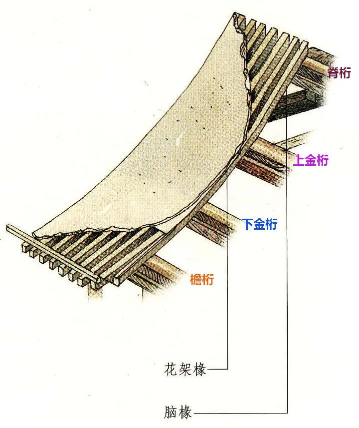 檐椽:从下金桁到正心桁(檐檩