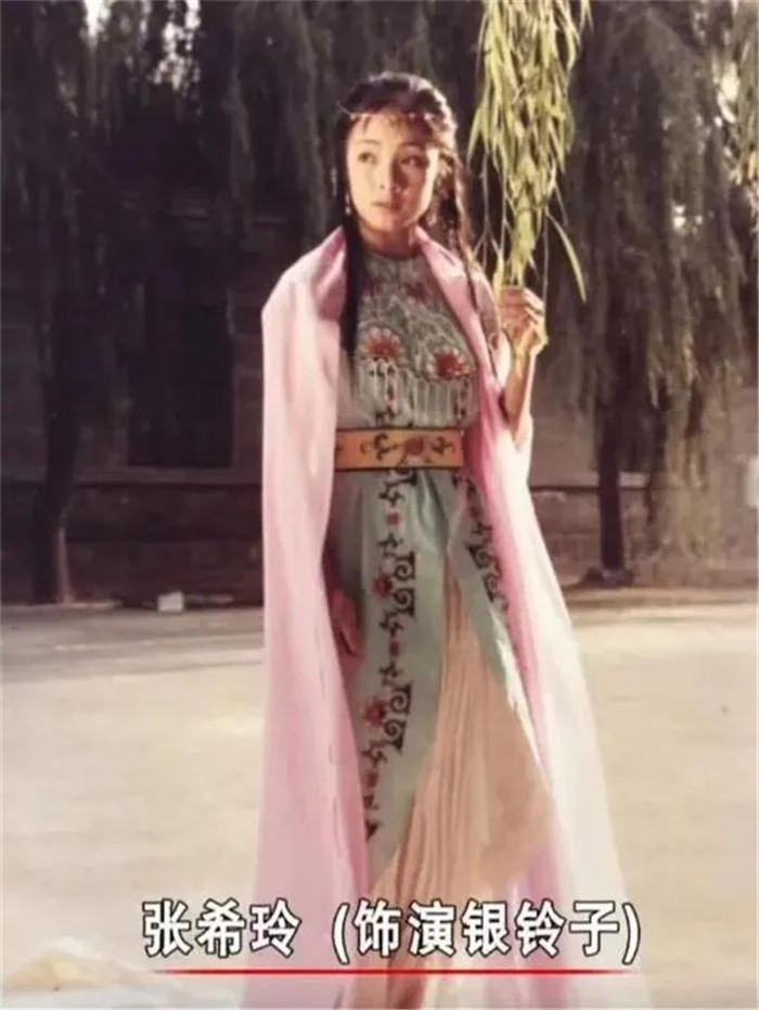 《岳家小将》:主角均是武林高手,女主角息影多年