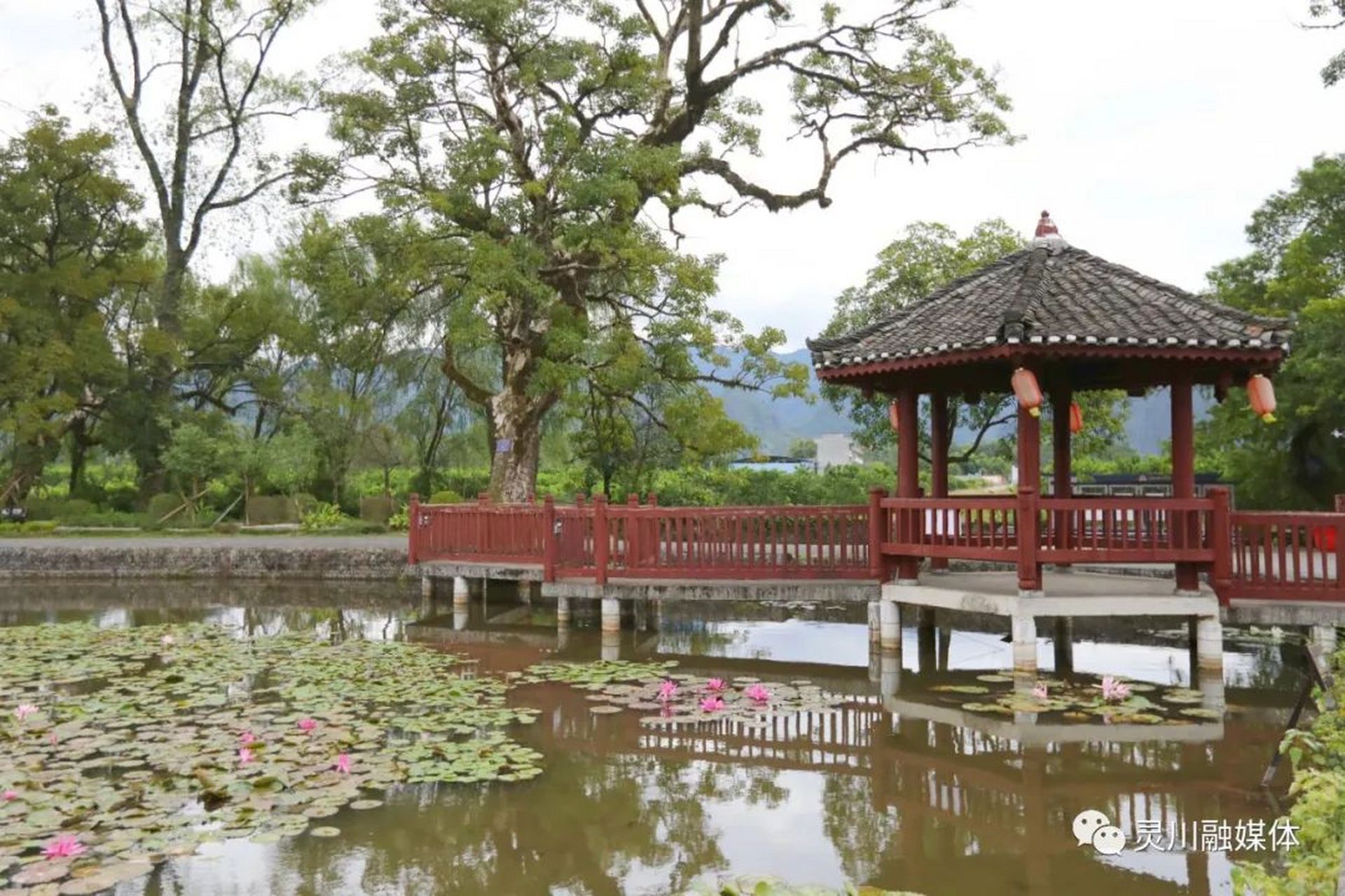 灵川九屋江头村图片