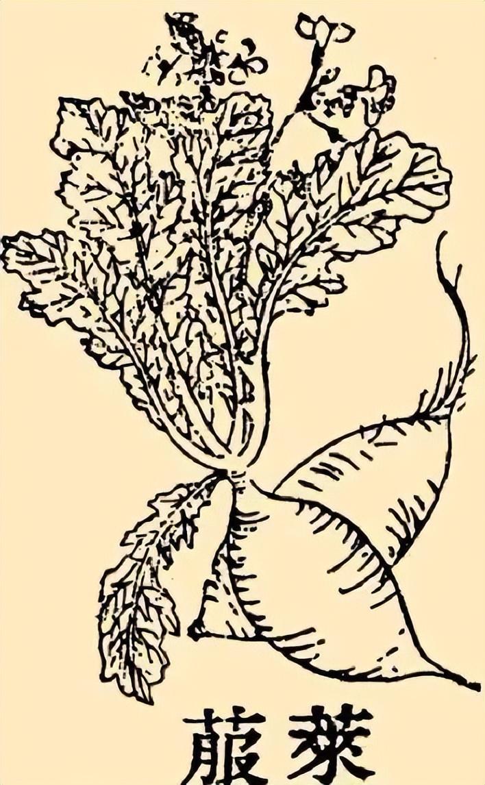 为什么《庆余年》范闲没事就在切萝卜丝?