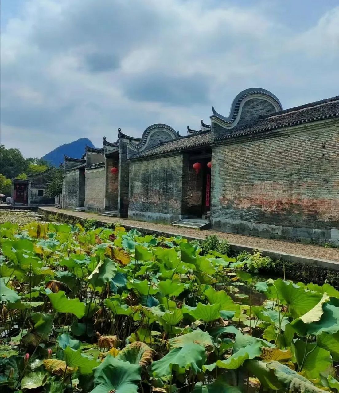 江头古村 99 灵川县九屋镇江头洲村 江头古村是"中国最具旅游价值古