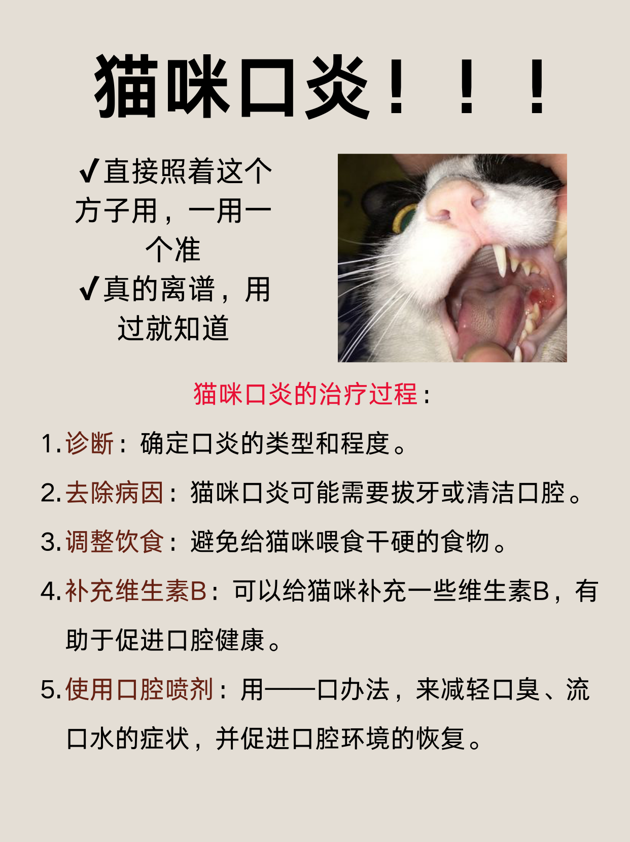 猫咪口炎!