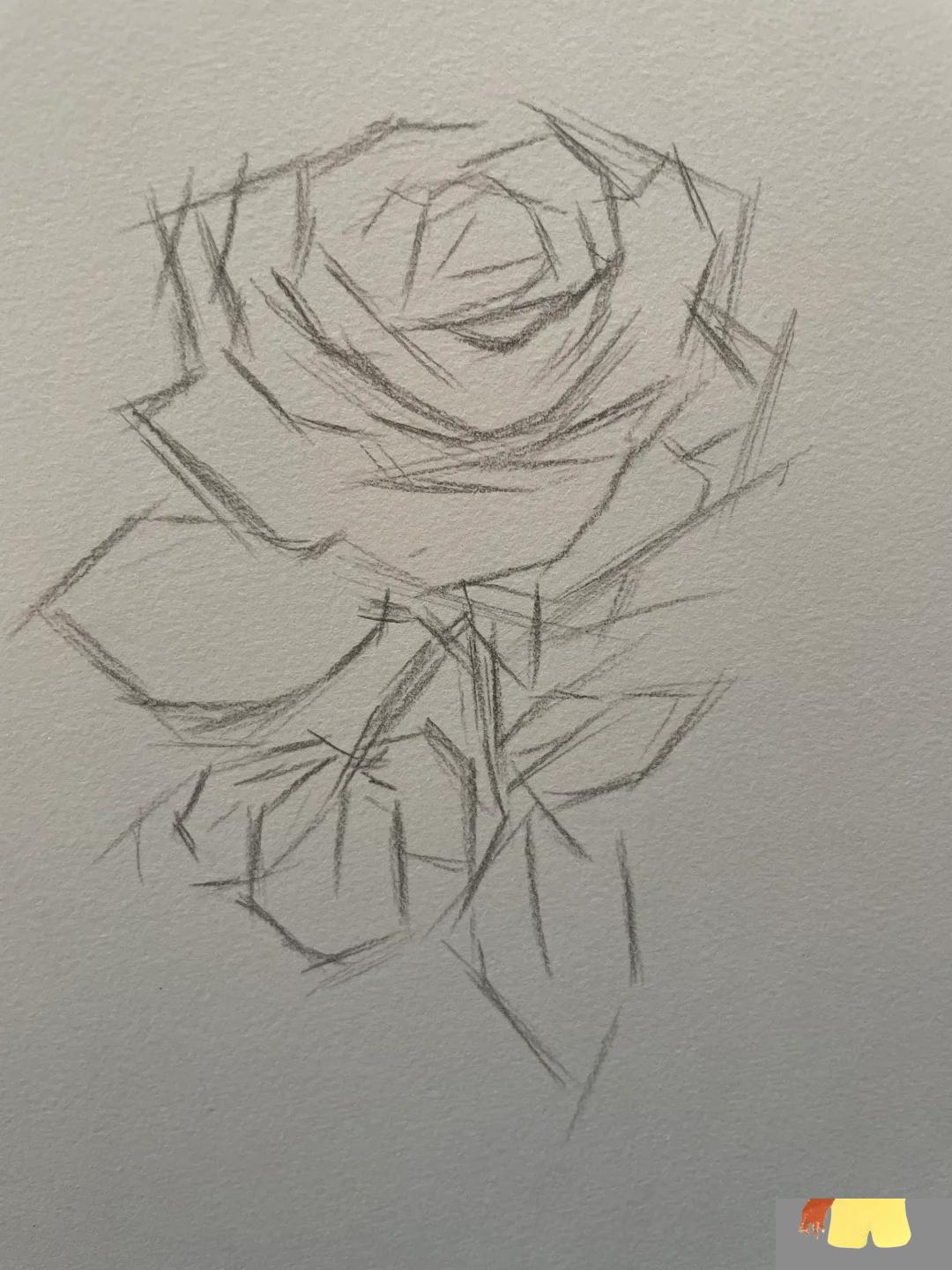 素描玫瑰花步骤