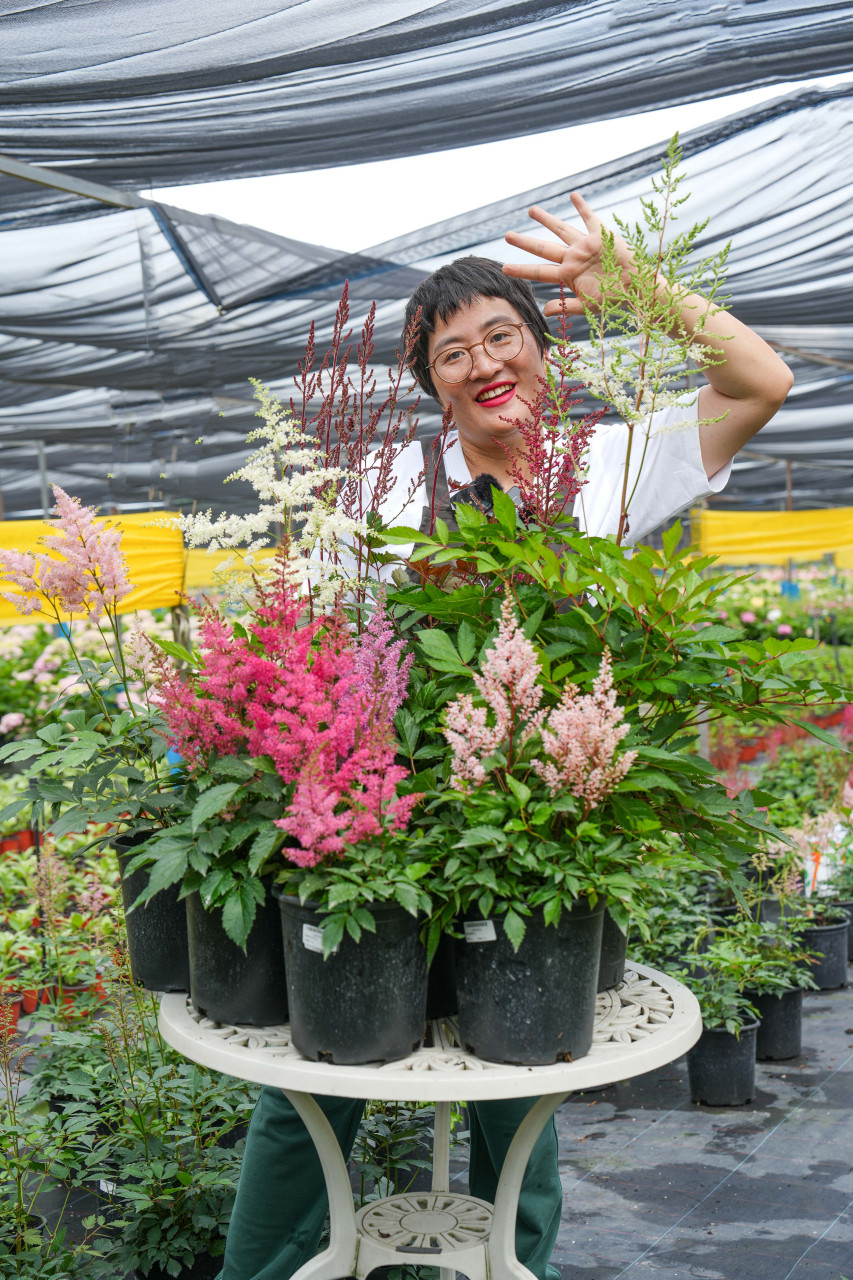 见过花开的人,便会懂得风的温柔.  图:落新妇