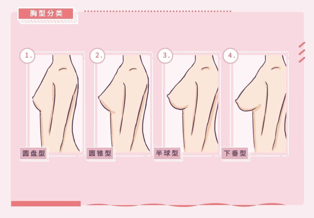 中国女性胸部平均仅为a罩杯?你的胸可能比你以为的还小!