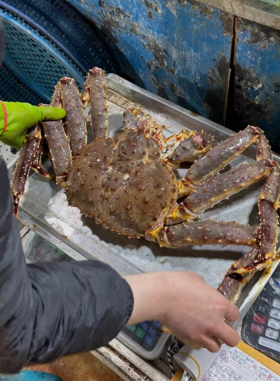 俄罗斯帝王蟹给人的视觉冲击是强烈的,让人有种大快朵颐的冲动.
