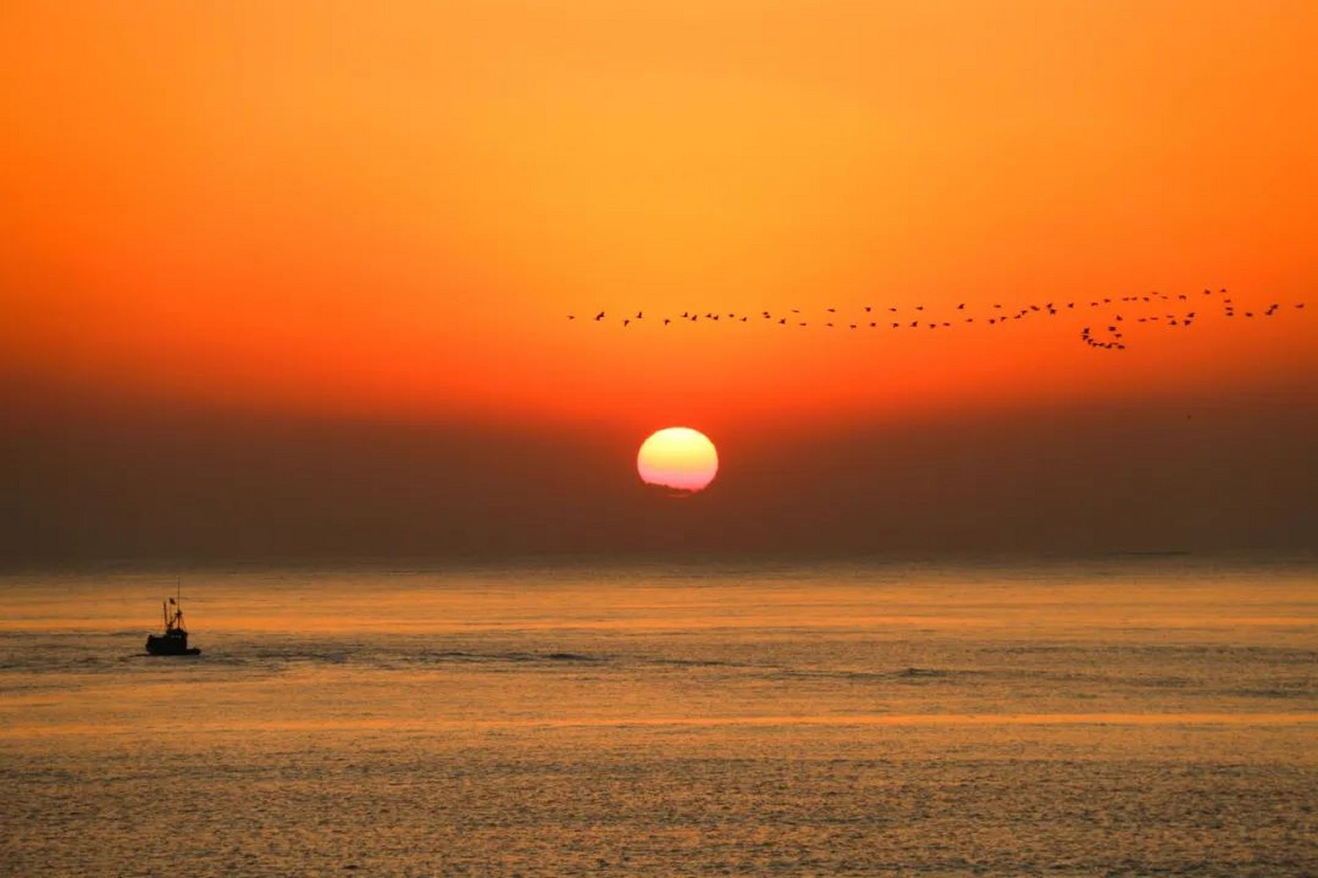 海鲜美食回味无穷, 日照绿茶香飘四溢.济南上海郑州高铁直达!
