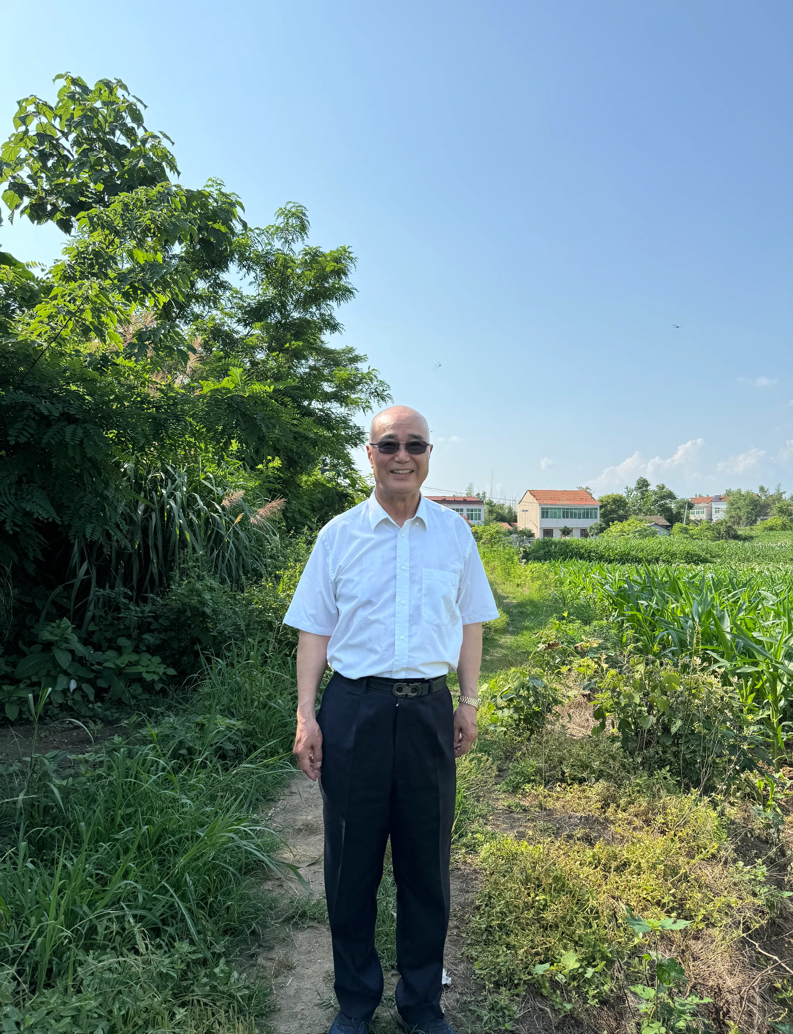 到湖北出差,顺便回老家给父母和妹妹点炷香,烧点冥钱,祈祷他们在阴间
