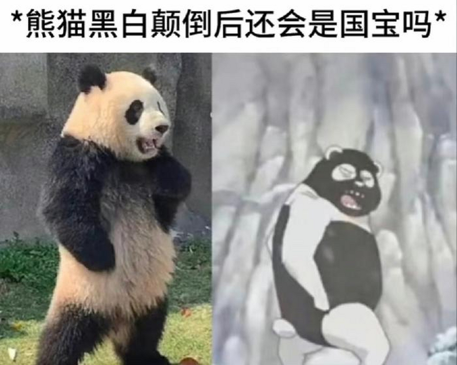 这就是"颠倒黑白"的后果[吃鲸]