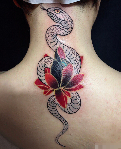 抖音热议新话题!