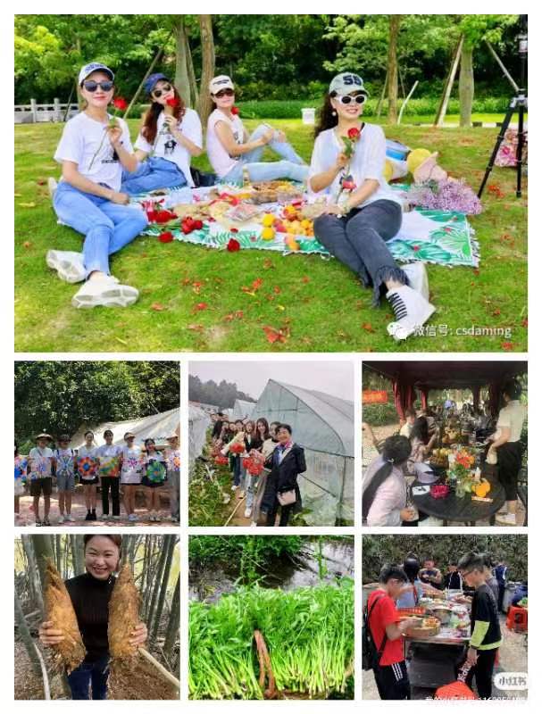 长沙大明山庄农家乐团队套票,大明山庄农家乐预定活动