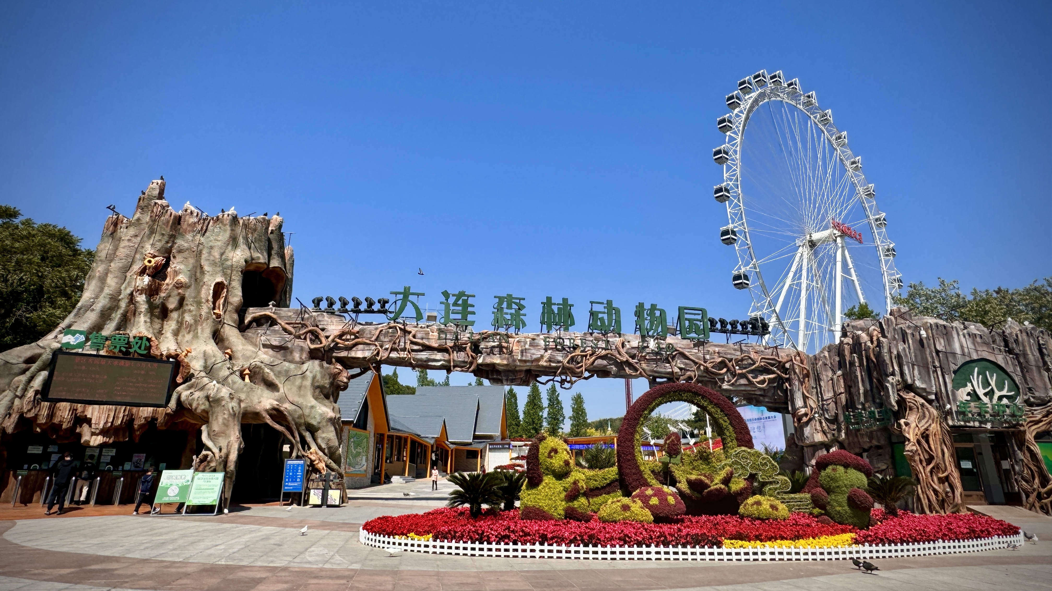 目的地心动指南#   "动物在森林里,森林在大海边",大连森林动物鞍