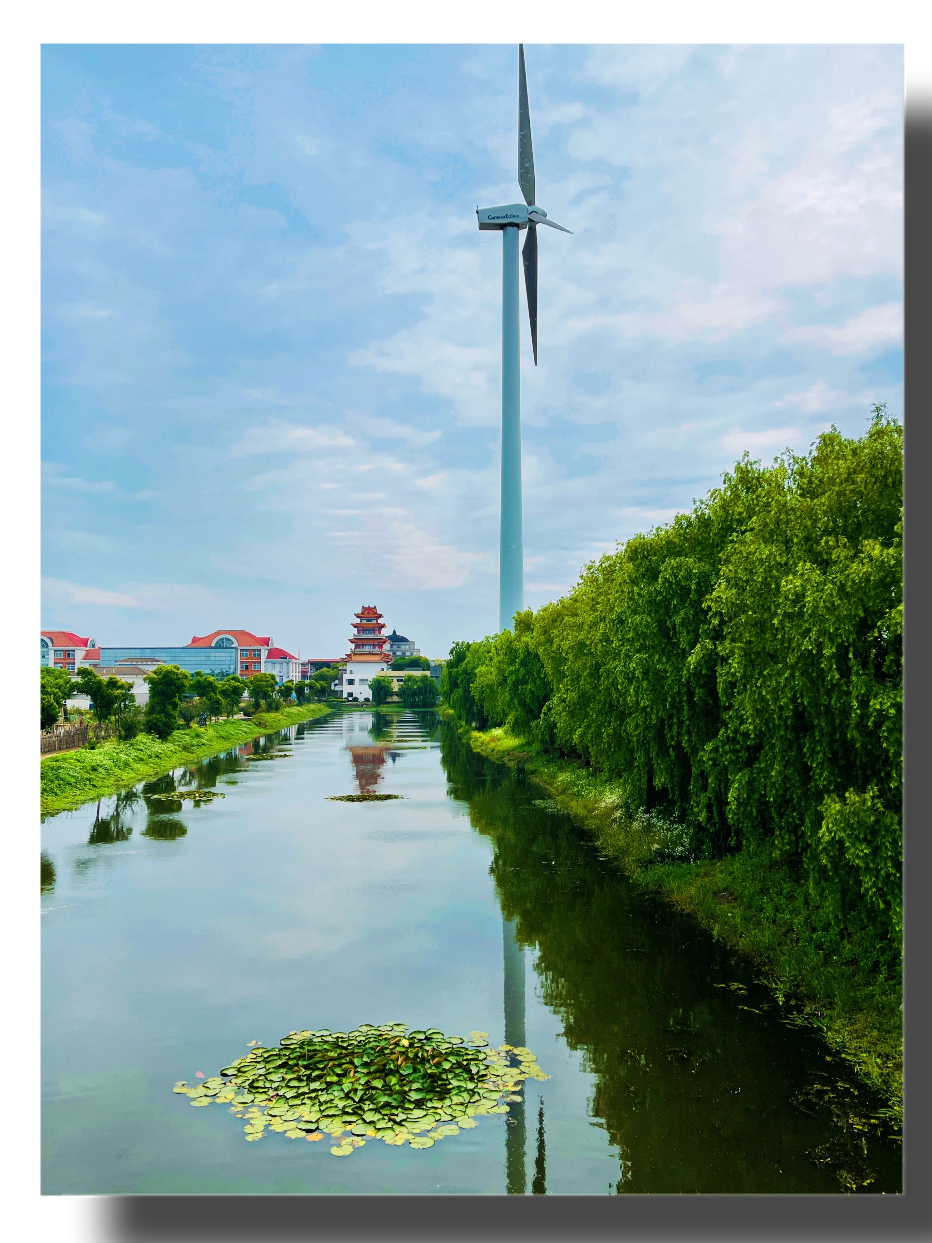 我的自驾线路 奉贤海湾旅游区碧海金沙上海海湾国家森林公园   奉屯