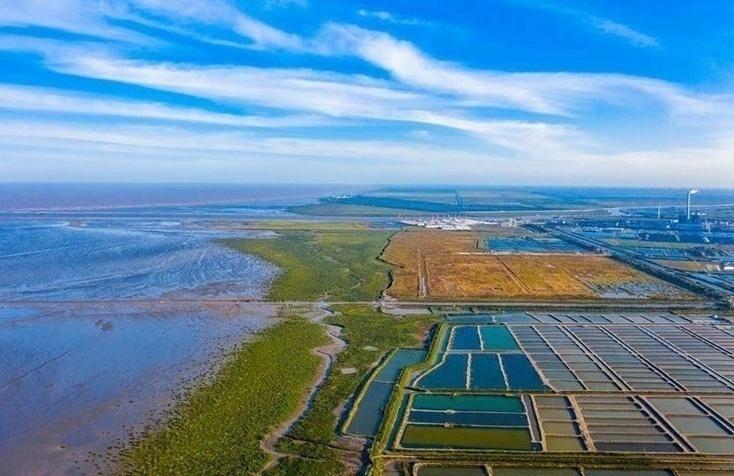 出差去了一趟江苏盐城市,实话实说,盐城给了我几个意外之处
